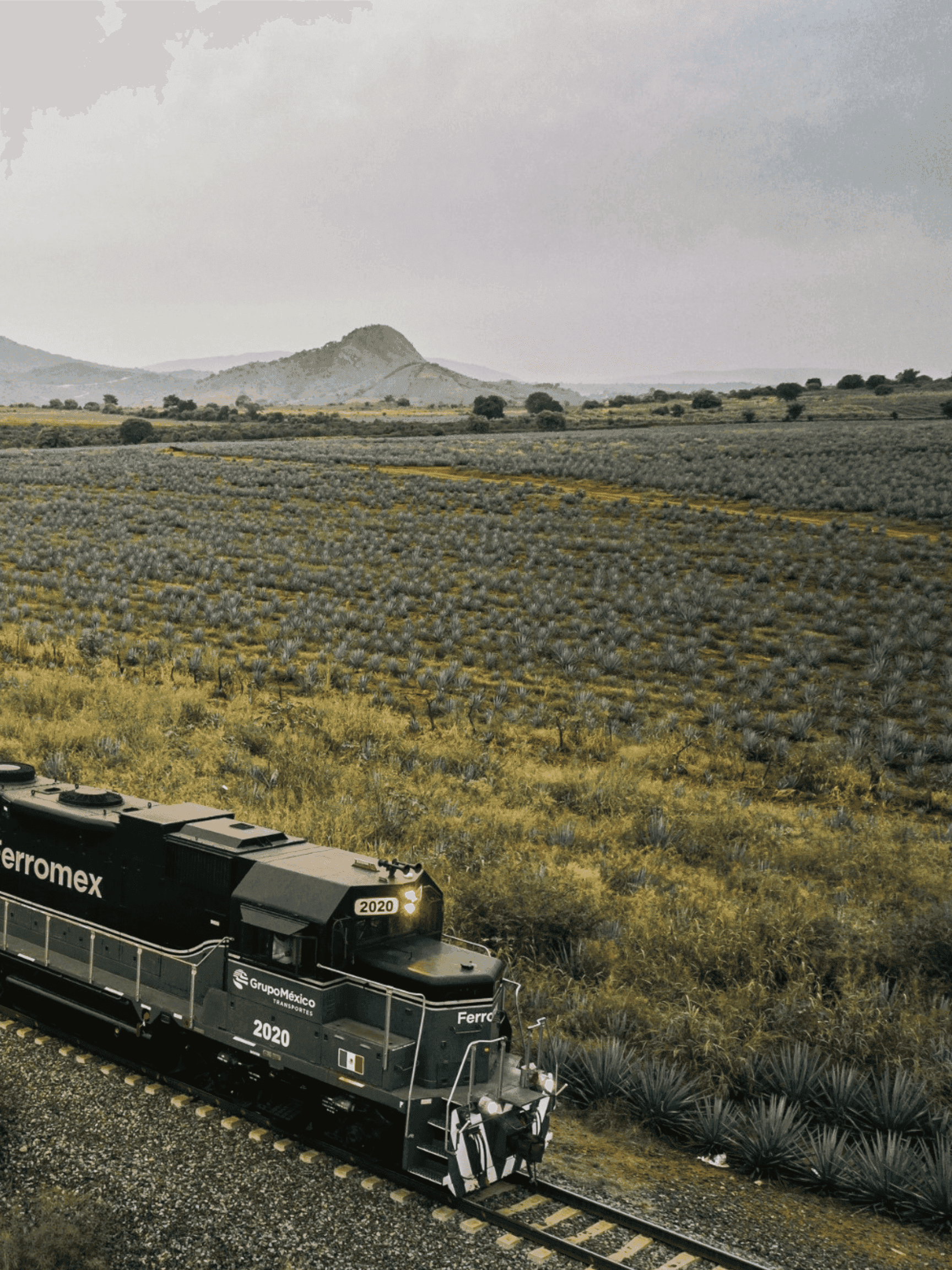 Tequila Express