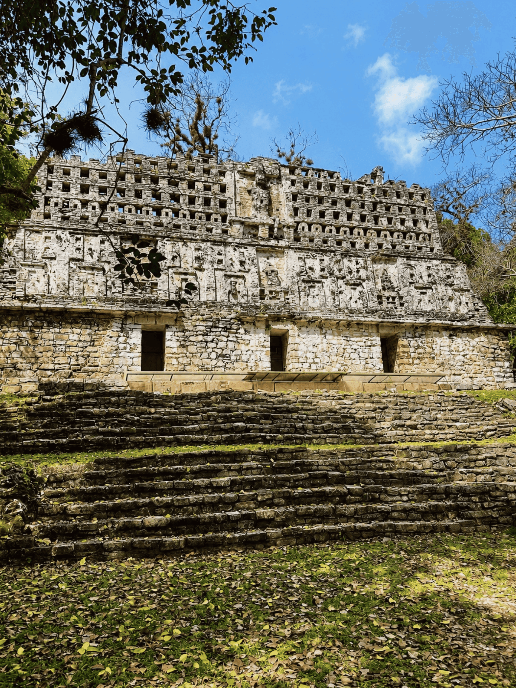 Chiapas Selvático