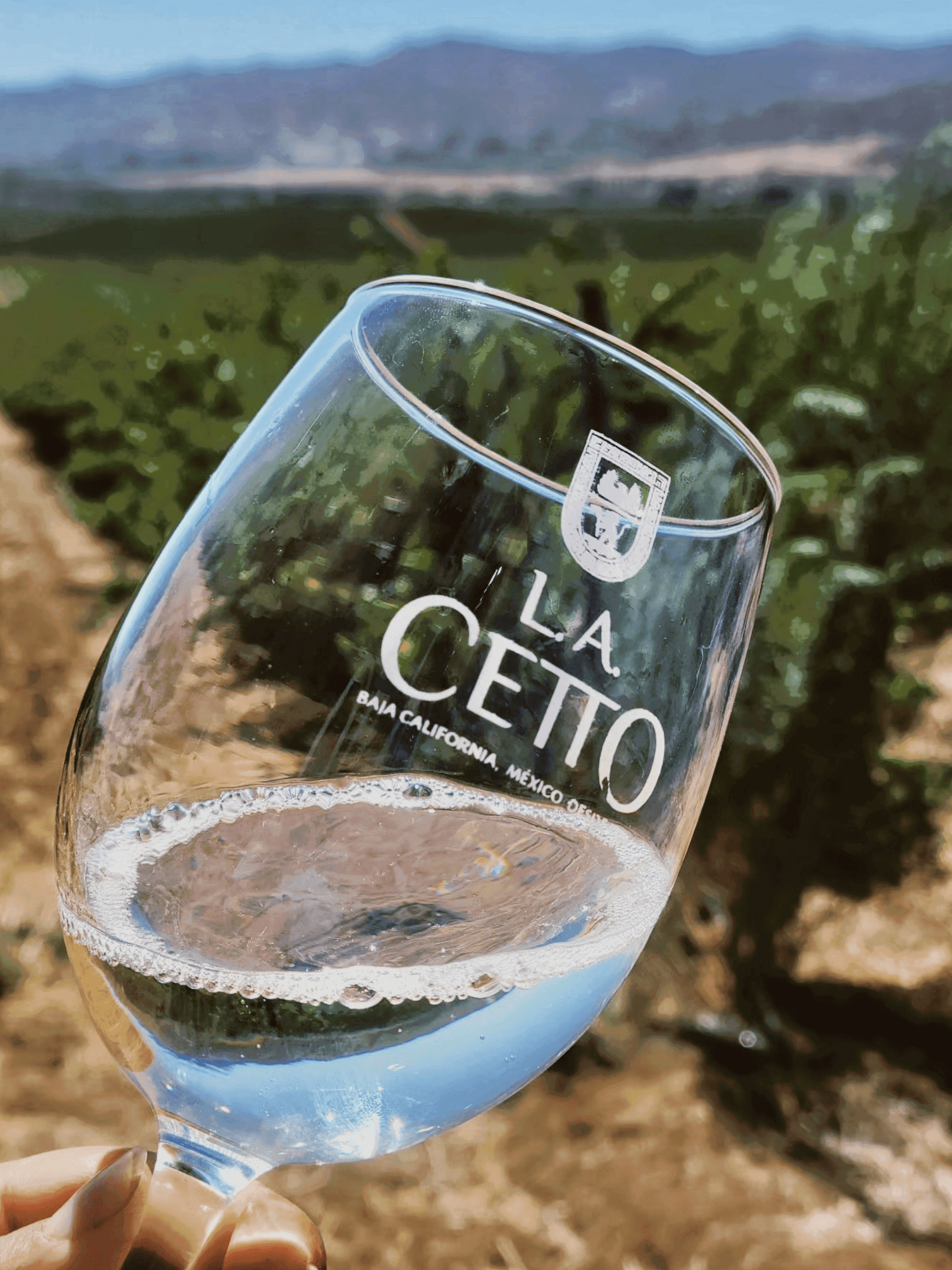 Ensenada y Valle de Guadalupe
