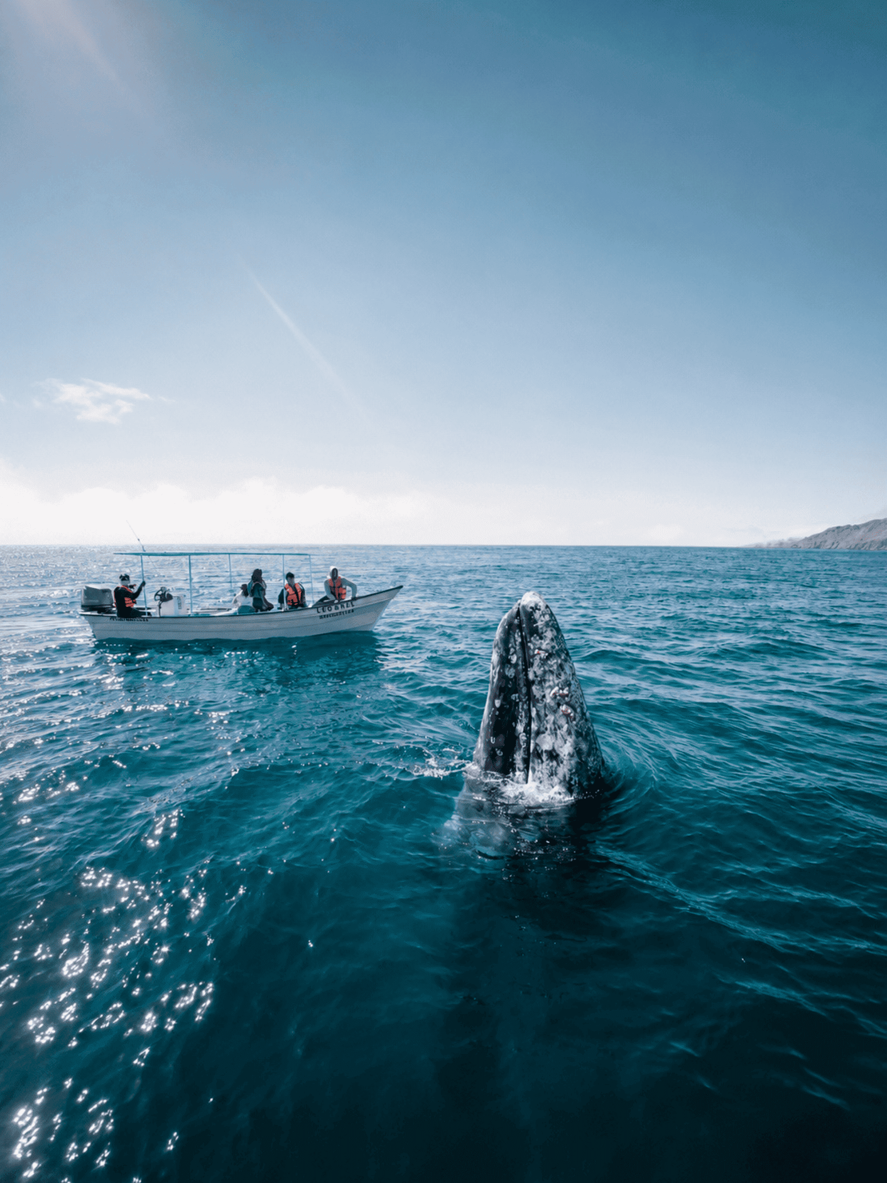 Santuario de la Ballena Gris (2027)