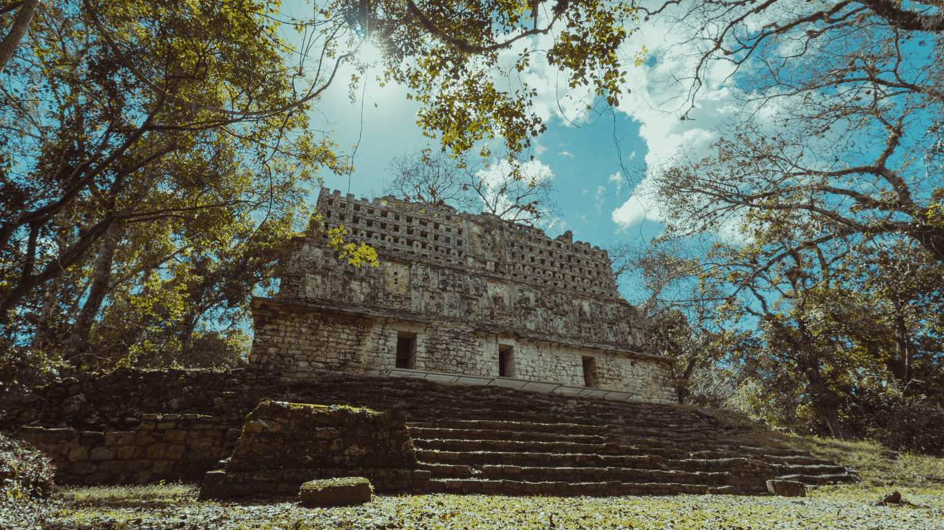 Chiapas Selvático
