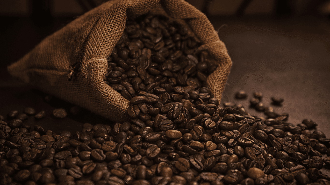 Ruta del Café